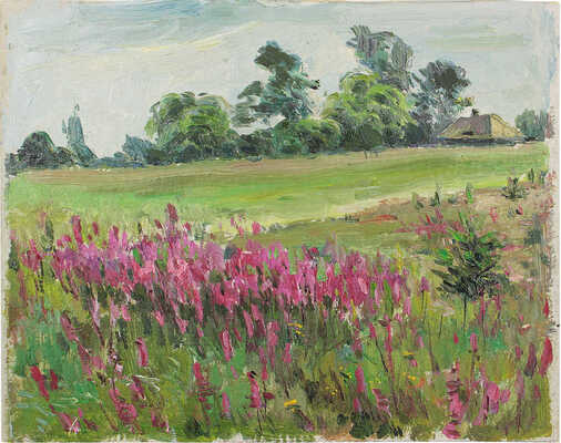 Шипиленко Александр Кузьмич. Артемово. Иван-чай